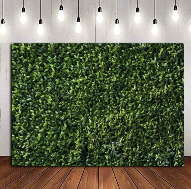 Green Leaves Backdrop ( 8x6 )