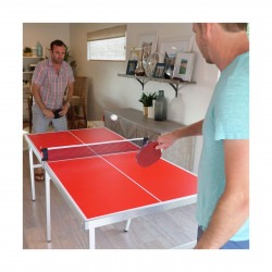 PingPong2 1677452644 Ping Pong Table