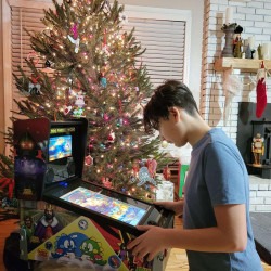 Image2021 1750048889 Mini Digital Pinball